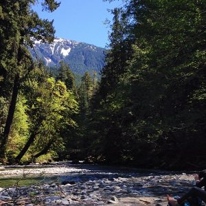 Skokomish river on the Staircase hike in the Olympic National park