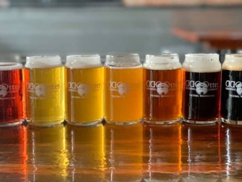 A row of taster-sized glasses of Odd Otter Brewing beers.