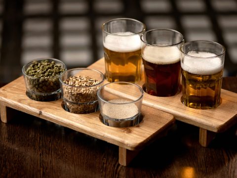 Beer samples and ingredients used in its brewing, an example of what university students studying beer encounter.