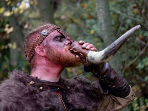 Man drinking from a Viking drinking horn.