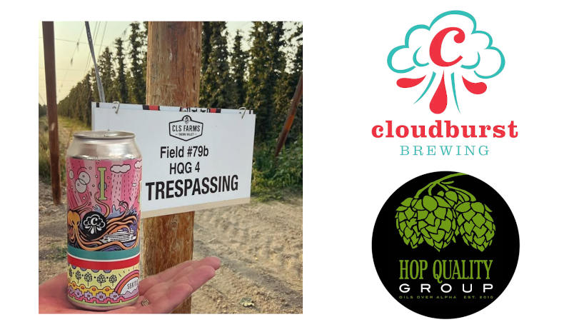 Meet HQG-4: The New Hop Shaping Cloudburst Brewing's Latest Creation