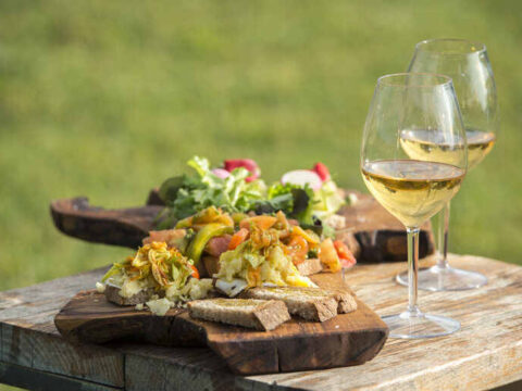 Summer picnic table with grilled vegetables, fresh salad, and two glasses of alcoholic drinks