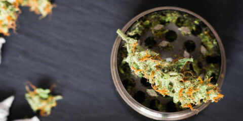 Exhale's Godfather OG and Hawaiian Haze strains launch