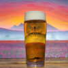 Chuckanut Brewery celebrates the arrival of tulip season with beer A pint of beer against a colorful background