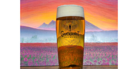 A pint of beer against a colorful background