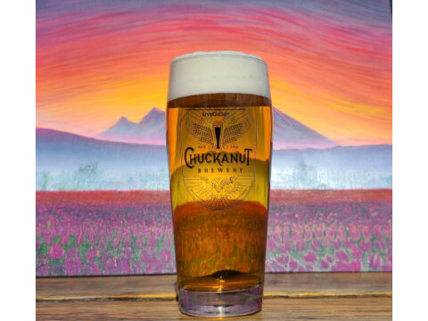 Chuckanut Brewery celebrates the arrival of tulip season with beer A pint of beer against a colorful background
