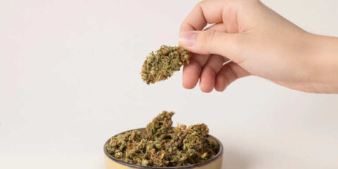 Close shot of Delta 9 THC.