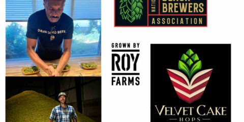 Roy Farms and the NBBA introduce a new hop blend: Velvet Cake Logos for the organizations and pictures of two men examining hops.