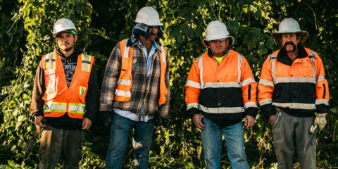 hop workers standing in a field of hops