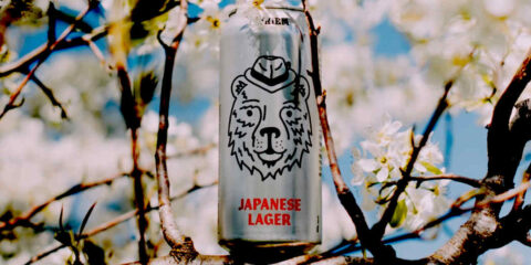 A can of beer in a blossoming cherry tree