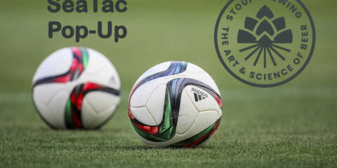 Two soccer balls on a field of green grass