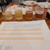 a row of beer samples lined up for judging