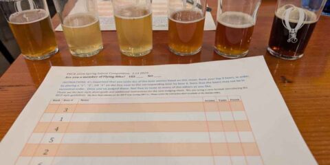Want to Become a Real Beer Judge? Flying Bike Brewery is Here to Help a row of beer samples lined up for judging