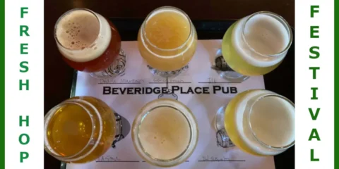 A taster try full of fresh hop beers