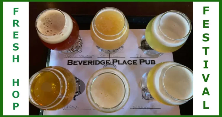 A taster try full of fresh hop beers