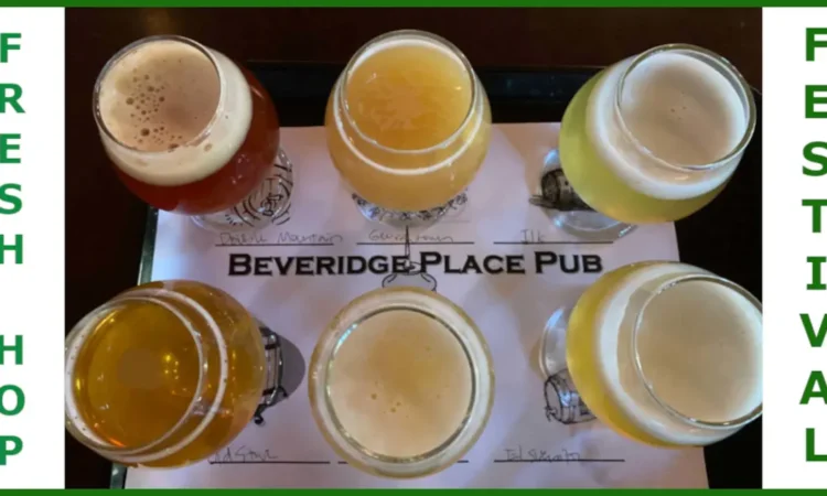 A taster try full of fresh hop beers