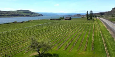 An aerial photo of a winery along a river