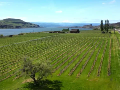 Washington Now Has 22 Wine Appellations. Introducing the Columbia Hills AVA An aerial photo of a winery along a river