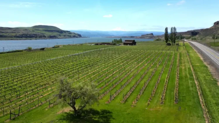 Washington Now Has 22 Wine Appellations. Introducing the Columbia Hills AVA An aerial photo of a winery along a river
