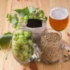 Hop Terroir: A Practical Overview for Northwest Beer Drinkers Fresh hops, brewing grains, and a glass of beer illustrating hop terroir and the regional character of Northwest beer.