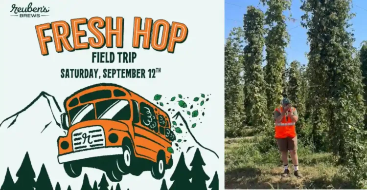 A person in an orange vest walking in a hop field