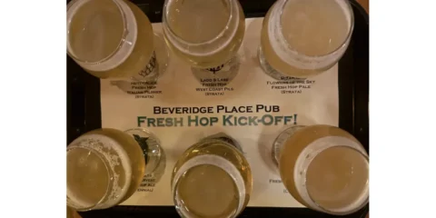 A flight of taster glasses at a fresh hop beer event