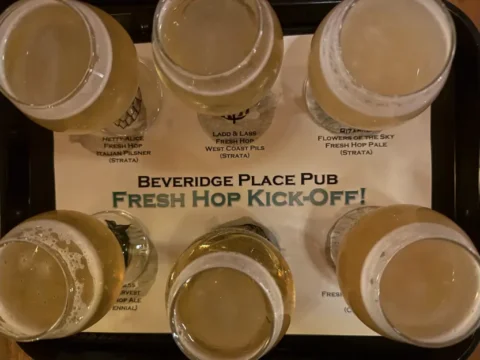 The Season has Arrived: A List of Washington’s Fresh Hop Festivals 2026 A flight of taster glasses at a fresh hop beer event