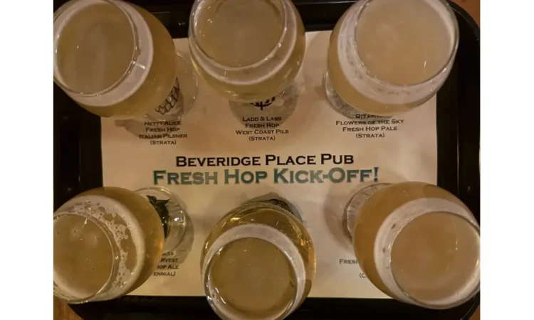 A flight of taster glasses at a fresh hop beer event