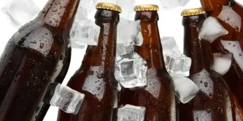 Four bottles of beer on ice
