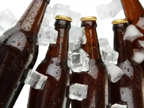 Four bottles of beer on ice