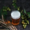 The Magic of Fresh Hops 2026: The Ultimate Guide to Fresh Hop Festivals in the Yakima Valley and Seattle Fresh hop beer with hops and barley for Yakima Valley and Seattle fresh hop festivals